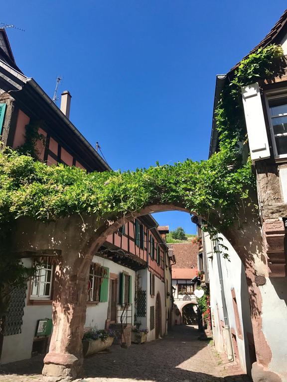 Les Authentics - La Maison D'Amelie Riquewihr Exterior foto