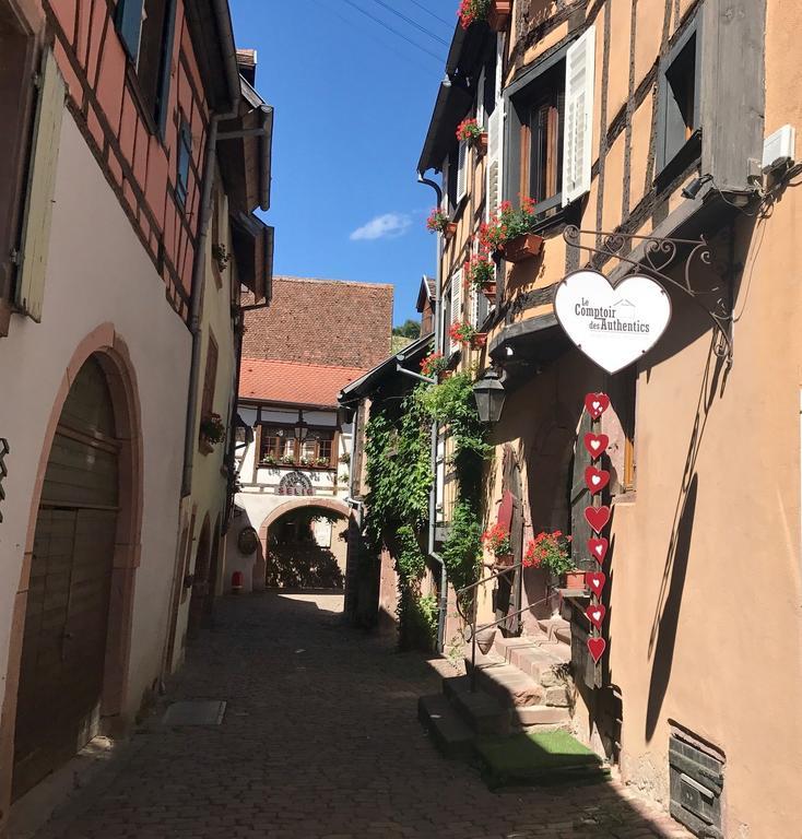 Les Authentics - La Maison D'Amelie Riquewihr Exterior foto